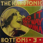 The Hardsonic Bottoms 3 - Do It Anyway You Wanna